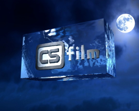 cs film (nocninebee2.jpg)