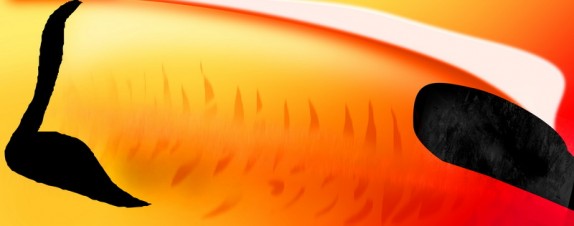 3D Tukan (zobakcolor_resize.jpg)