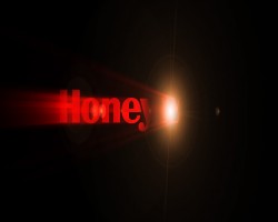 honeywell (logo (00085).jpg)