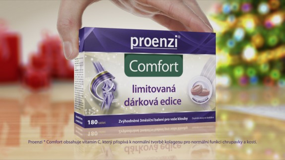 Proenzi vanoce 2013 (proenzi_vanoce02.jpg)