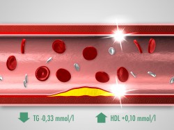 Glenmark / pladizol 3D vizualizace (pladizol01.jpg)