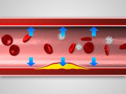 Glenmark / pladizol 3D vizualizace (pladizol05.jpg)