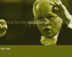 svatováclavský hudební festival (SHF2008 (01053).jpg)