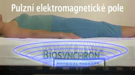 biosynchron (Biosynchron (01167).jpg)